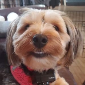 Meet your Posher, Connie